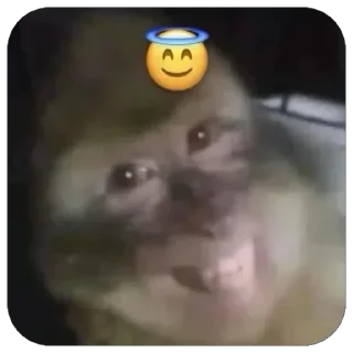 😇