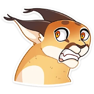 😼