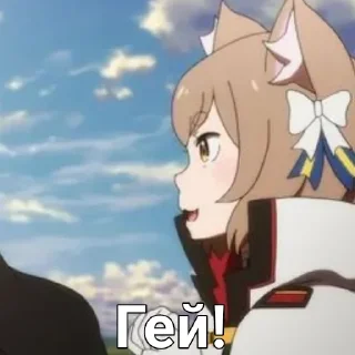 😽