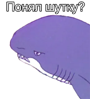 🦈