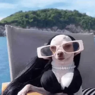 😎