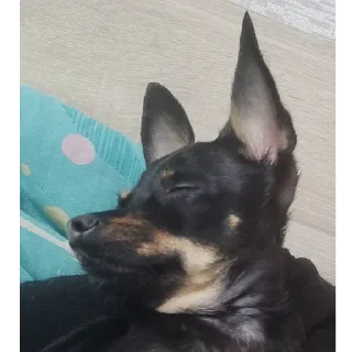 😴