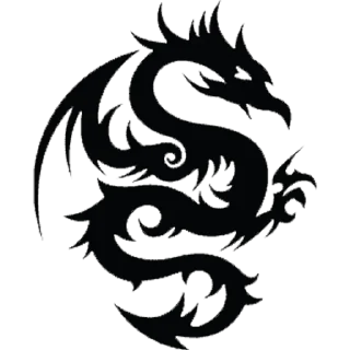 🐲