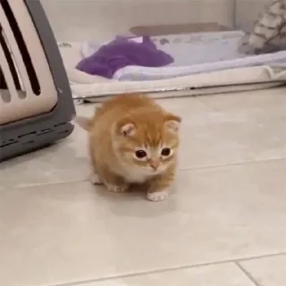 🤏
