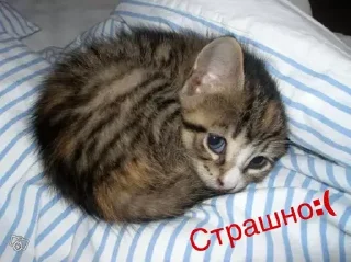 😨