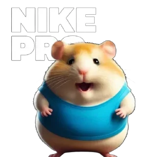 🐹