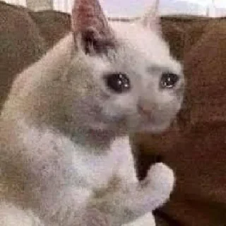 🥺