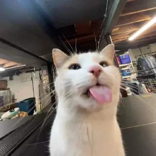 😛