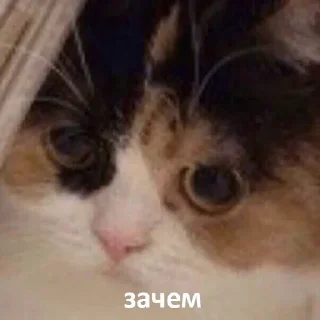 ⁉️