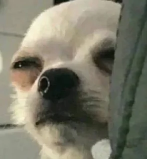 🧐