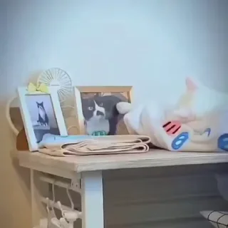 🥺