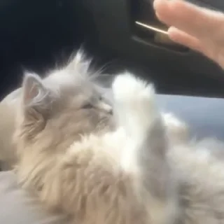 🤝