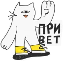 ✋