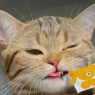 😜