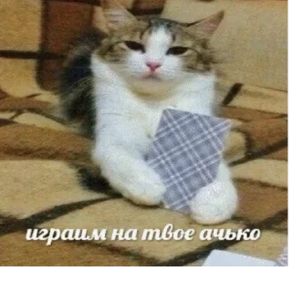🃏