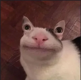 🥴