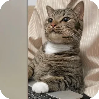 💻