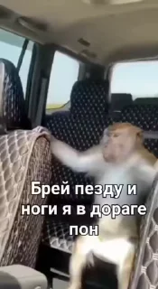 🌟