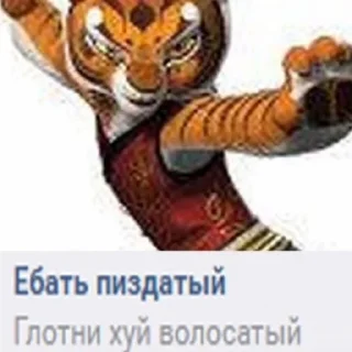 kung-fu
