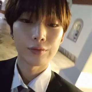 🦊