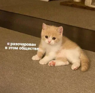 😕