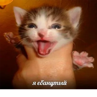 😜