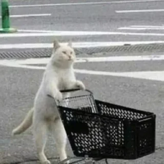 🛒