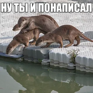 😅