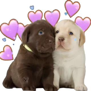 🥰