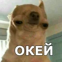 👌