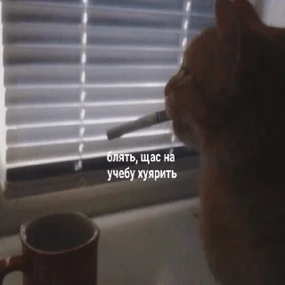 😓