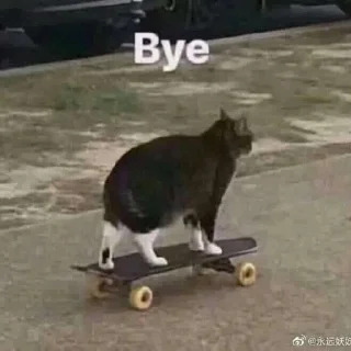 👋
