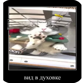 👍