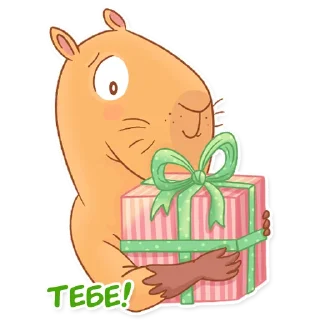 🎁