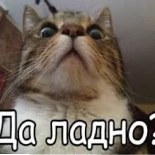 😄