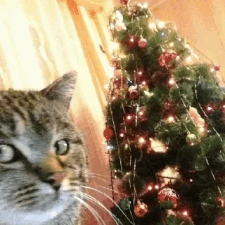 🎄