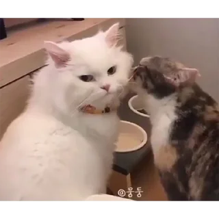 😘