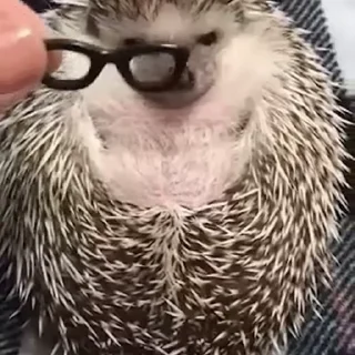 🤓