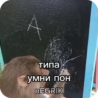 🌟