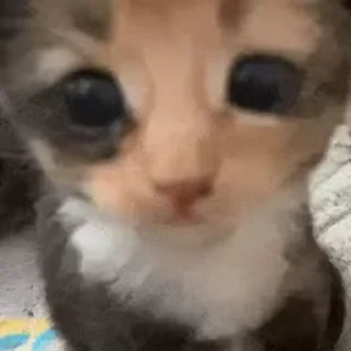 😈