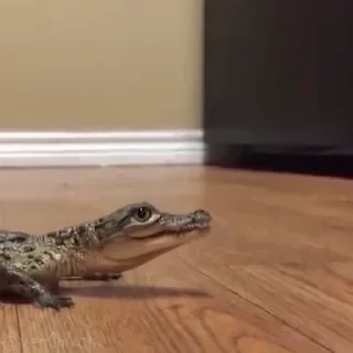 🥰