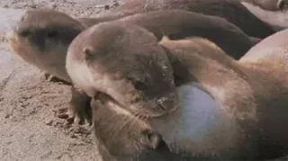🤗