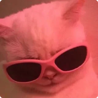 😎