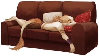💤