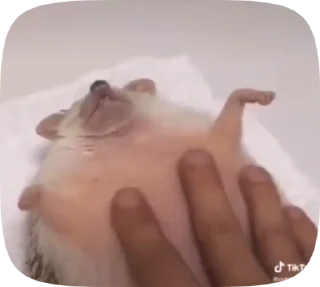 💆