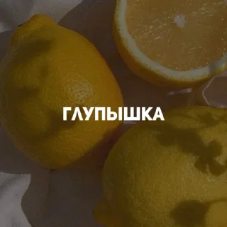 карман