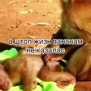 😱