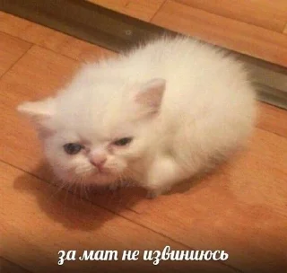 😒