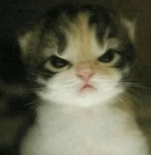 😠