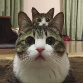 😐